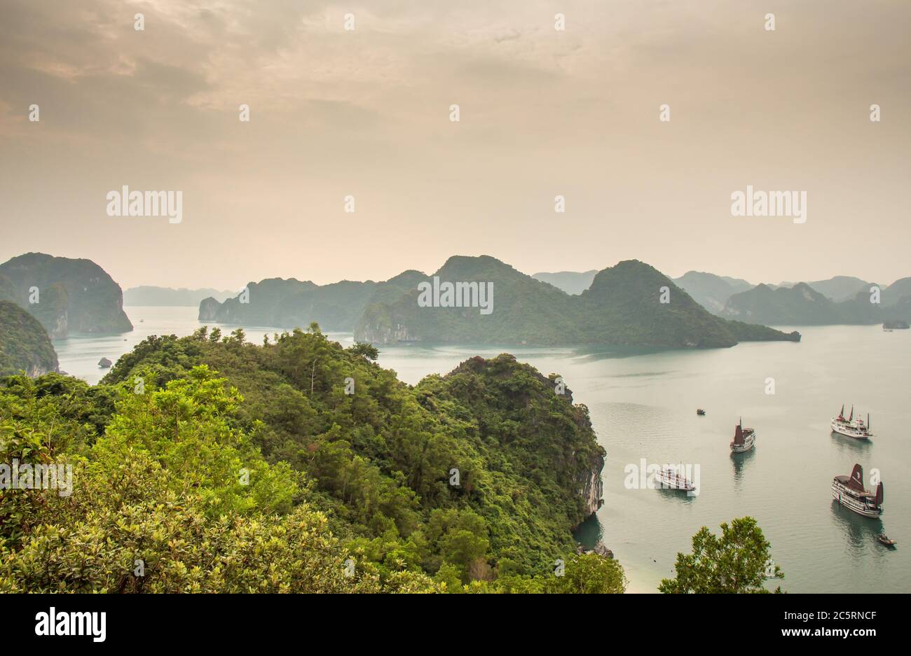 Una splendida vista delle isole della Baia di ha Long, patrimonio dell'umanità dell'UNESCO, dall'alto su una scogliera. Foto Stock