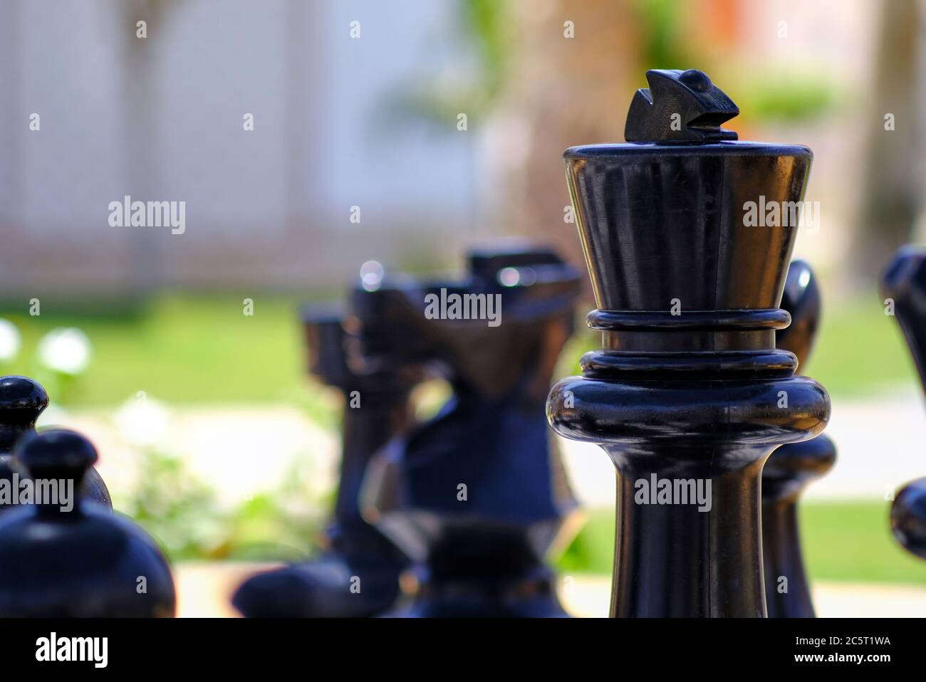 Enormi pezzi scacchi in giardino con fuoco selettivo Foto Stock
