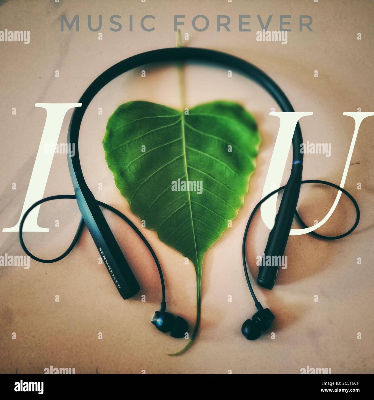 Una foglia a forma di cuore in lato una cuffia che mostra l'amore verso la musica . E 'scritto che amo la musica u Foto Stock