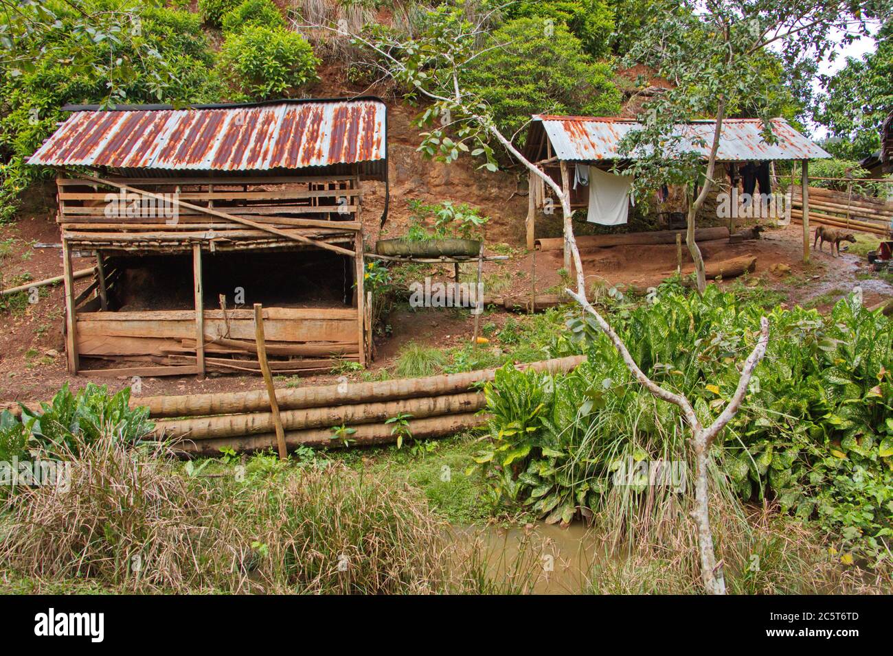 Vecchie capanne di legno nel parco di Humboldt vicino a Baracoa a Cuba, Caraibi, America Foto Stock