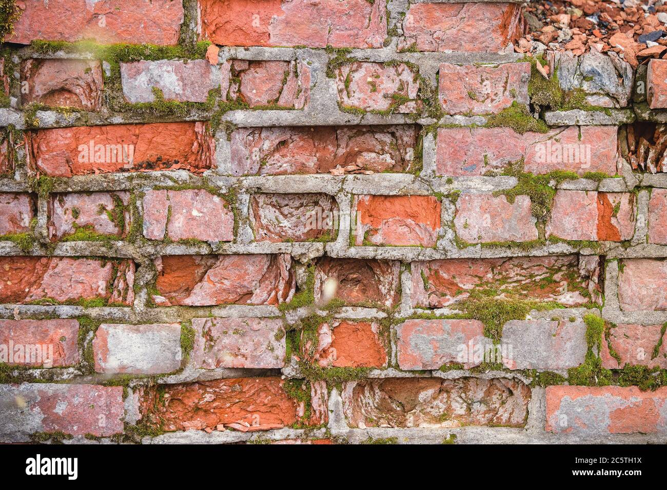 Vecchio muro di pietra strutturale coperto di muschio. Un grande piano della superficie di una parete di mattoni di colore rosso con una texture verde. Foto Stock