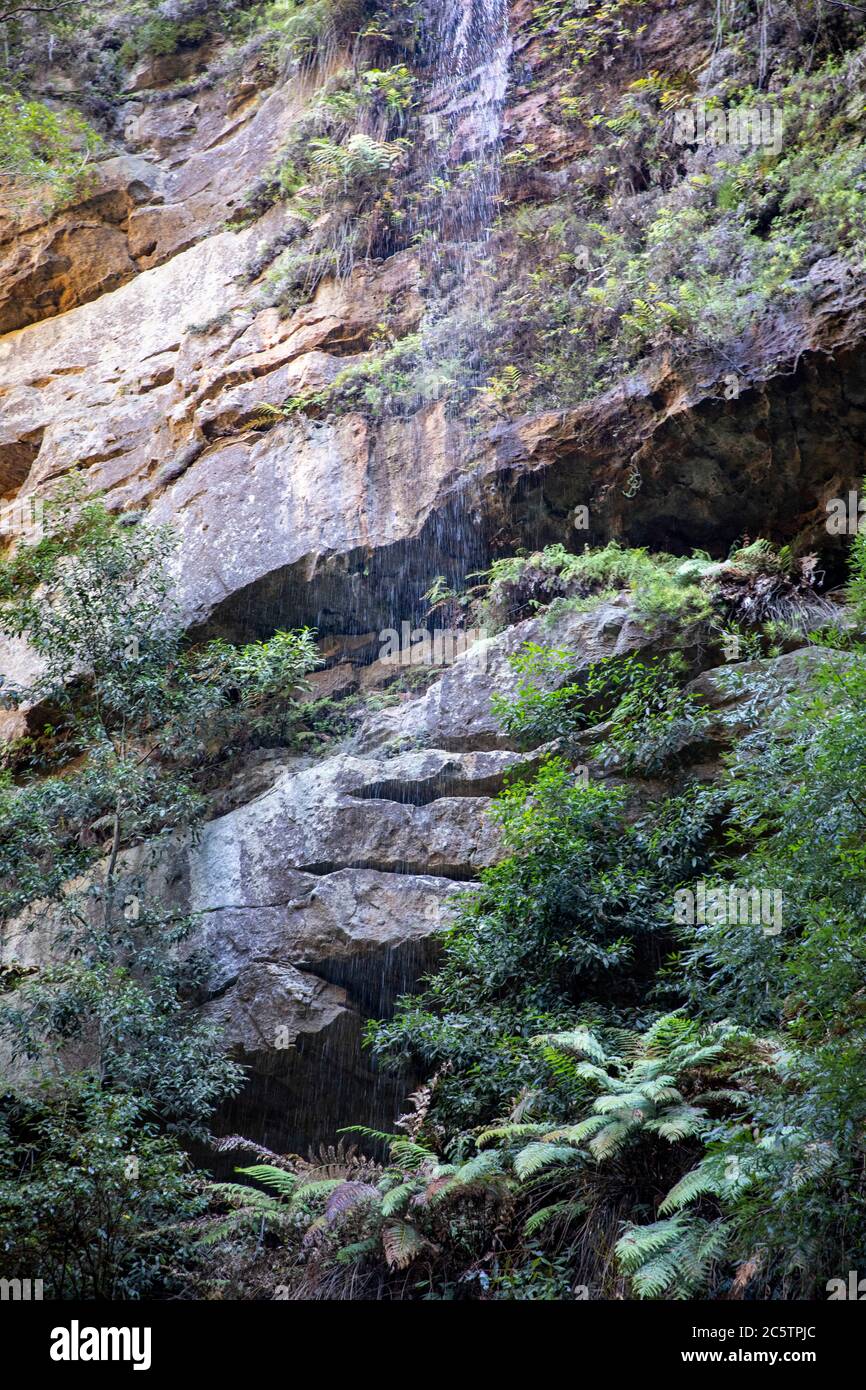 Circuito a piedi delle Witches cascata nel parco nazionale delle Blue Mountains in un giorno d'inverno, NSW, Australia Foto Stock