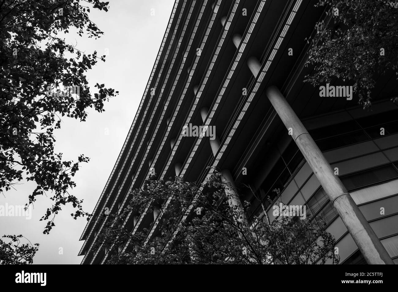 Edificio ricurvo per uffici incorniciato da alberi di betulla sparati in bianco e nero Foto Stock
