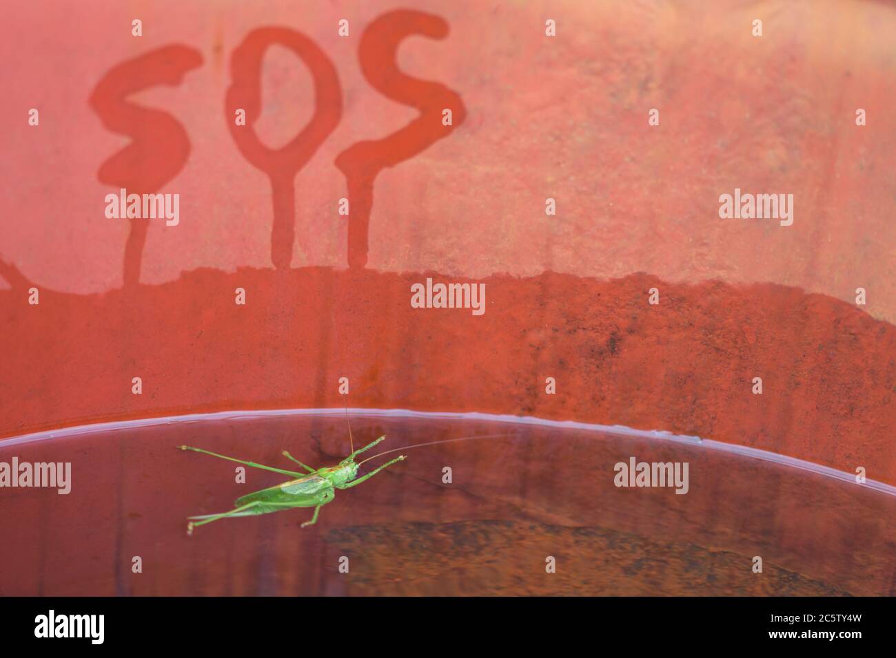 Segnale di soccorso SOS! Salvezza di un uomo annegato, opera dell'uomo annegato stesso. Foto Stock