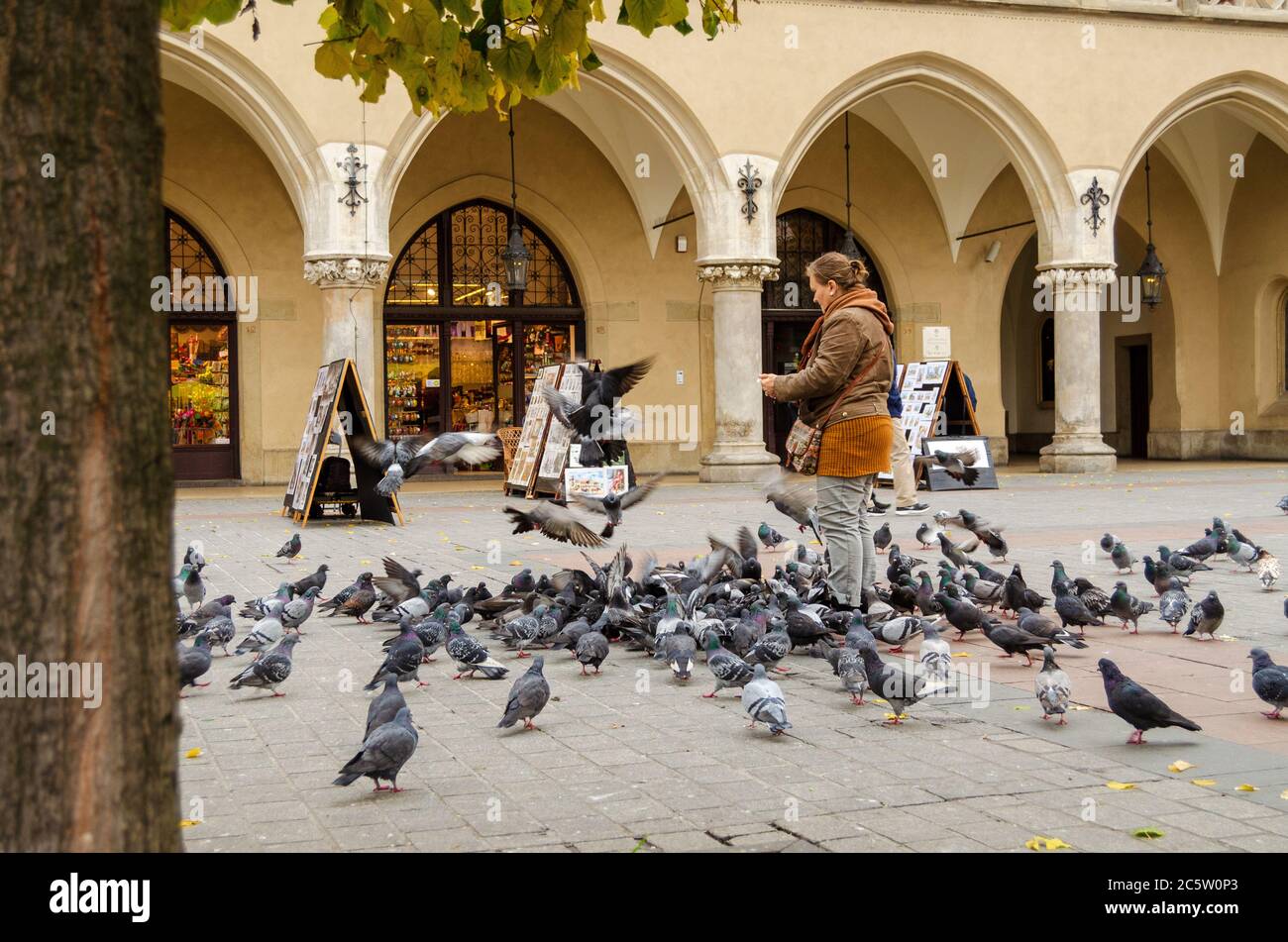 Signora che alimenta i pidogeoni a Cracovia, Polonia Foto Stock