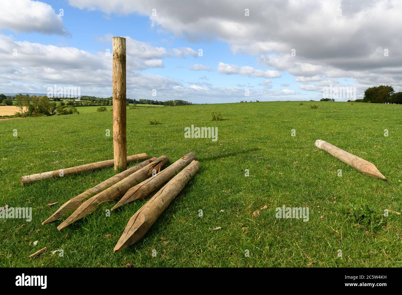 Pali di recinzione in legno in un campo nella campagna inglese Foto Stock