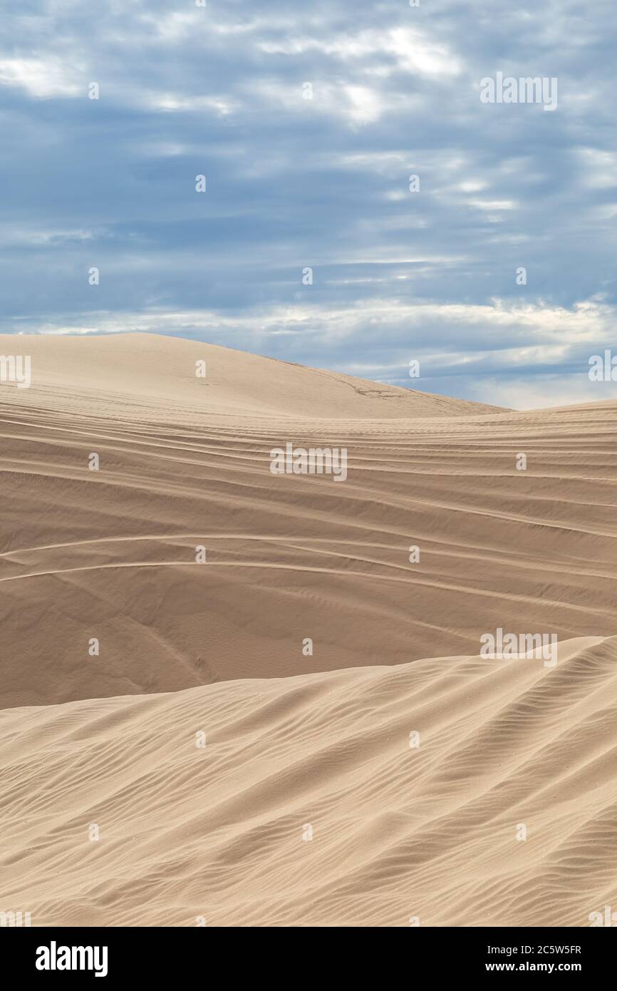 Dune di sabbia increspate, presso l'area ricreativa Imperial Sand Dunes in California Foto Stock
