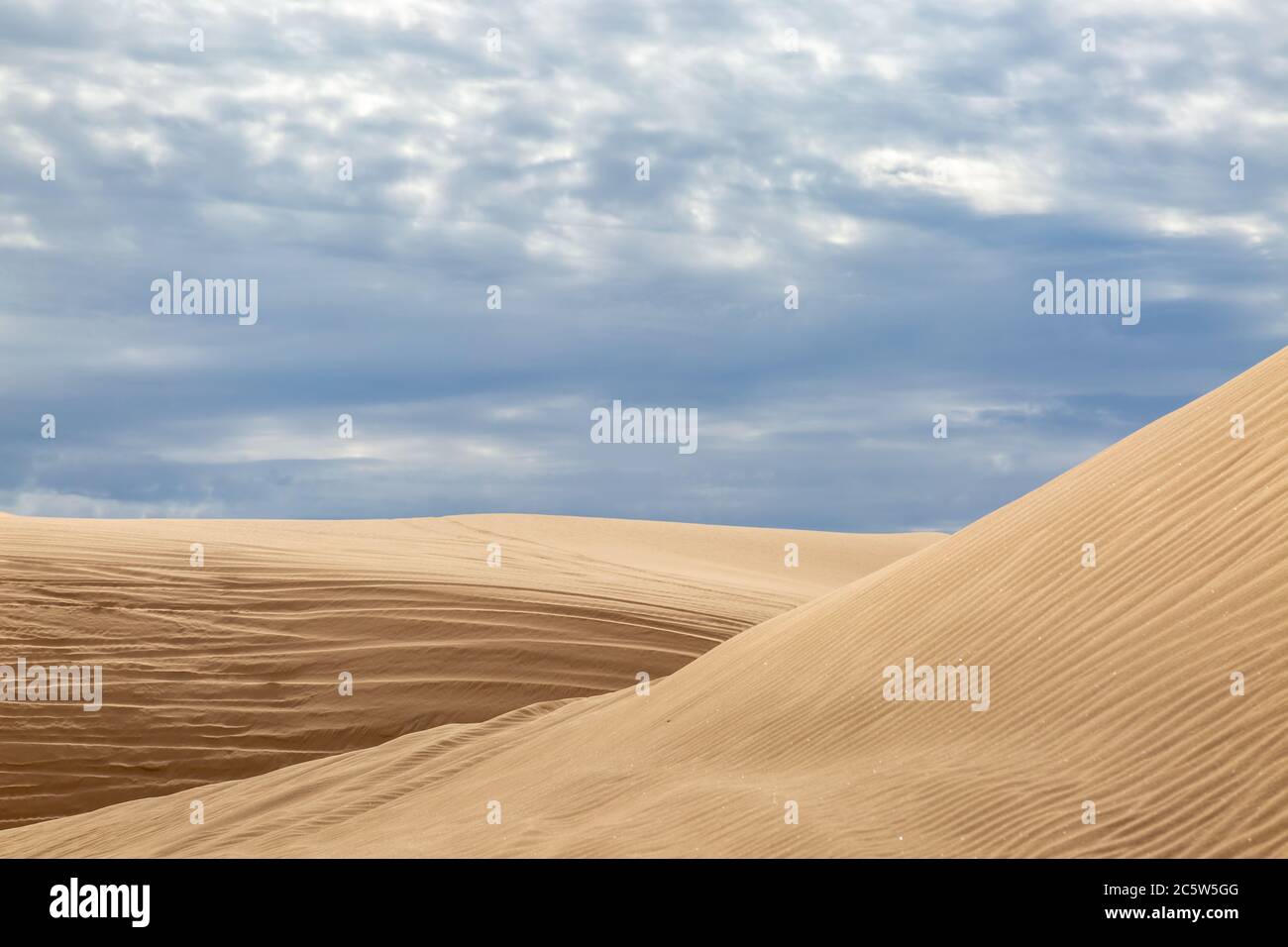 Dune increspate nelle Imperial Sand Dunes, California Foto Stock