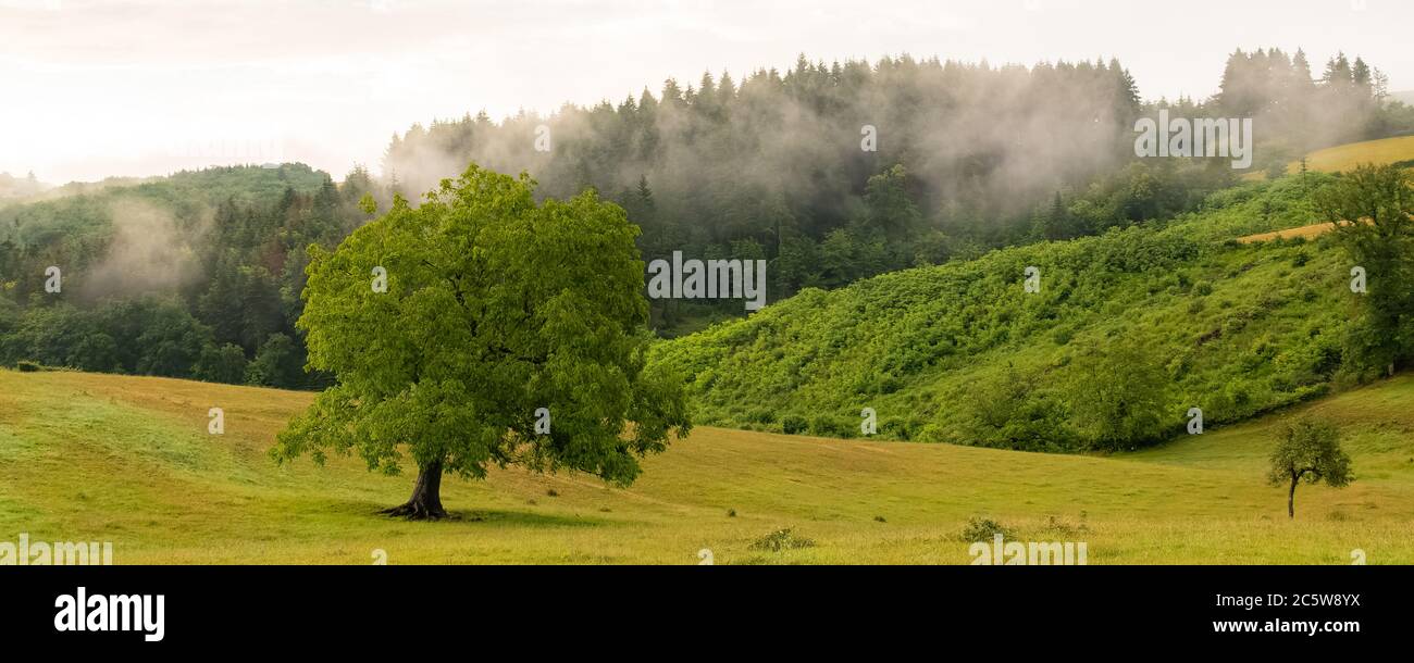 Bella campagna in Francia, in Borgogna Foto Stock