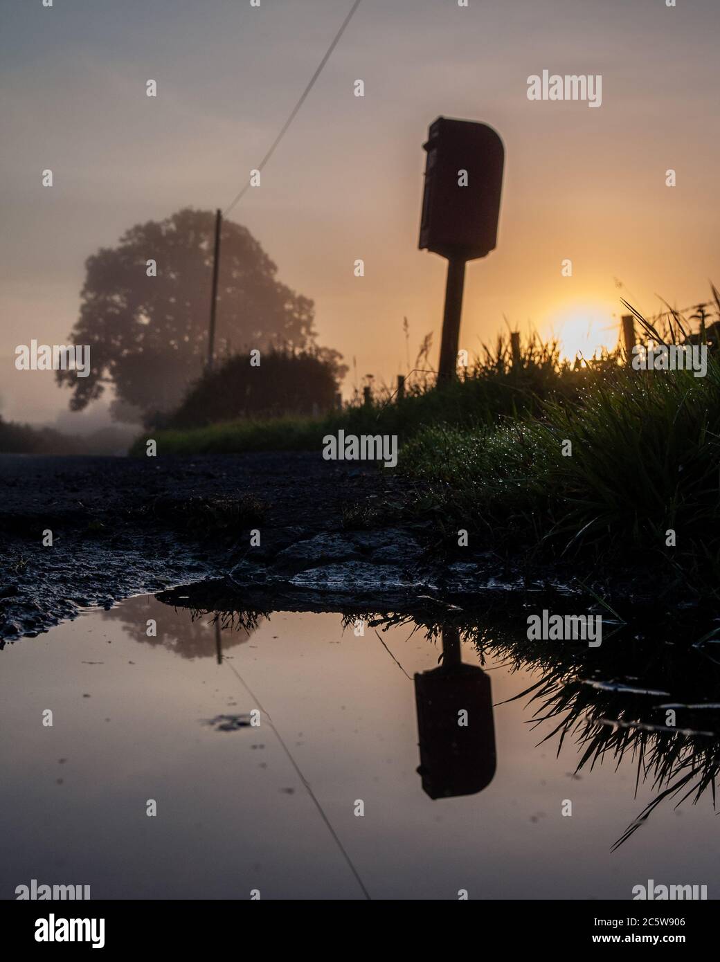 Il sole sorge su una corsia di campagna nel Blackmore vale del Dorset, dove una tradizionale casella postale si riflette in un pozze. Foto Stock