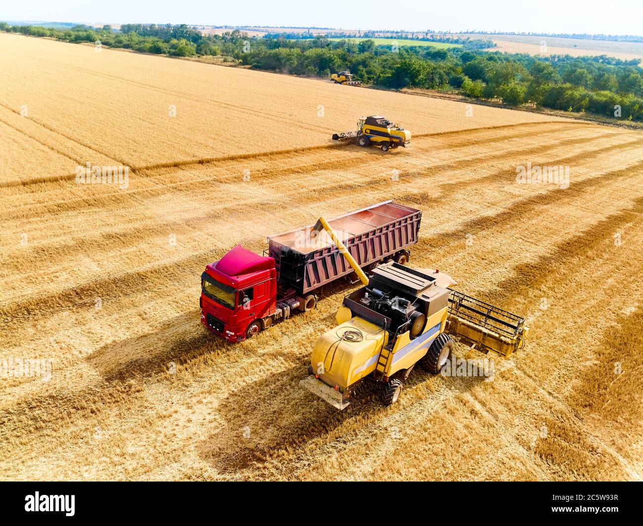 Vista aerea del drone. Sovraccarico della granella dalle trebbiatrici mietitrebbia nel dumper per granella sul campo. Sgranatura del grano raccolto in un corpo di scatola Foto Stock