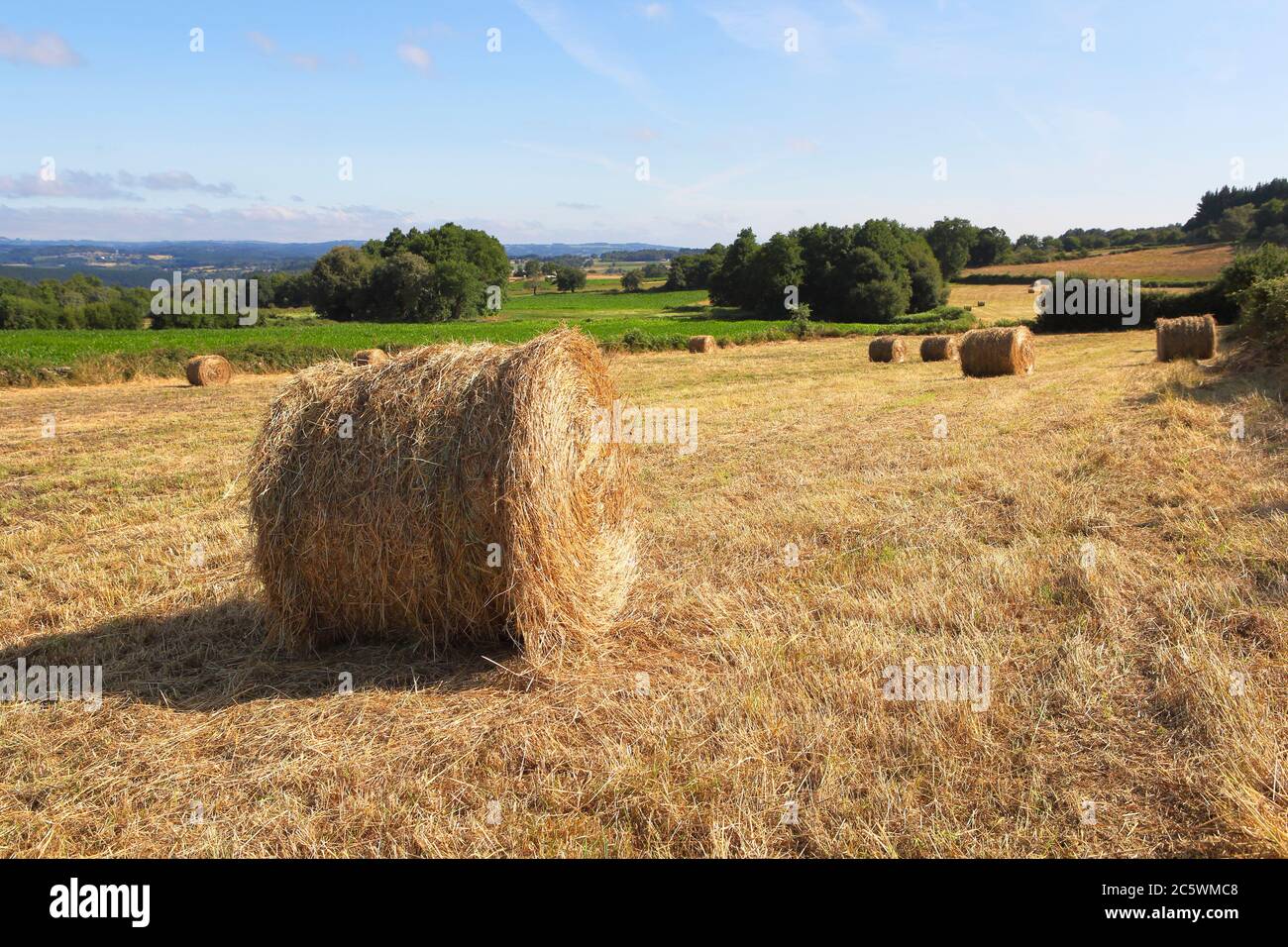 Paesaggio rurale con palle di fieno sul campo di falda Foto Stock
