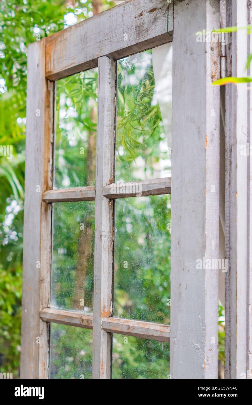 Porta in legno vintage aperta al giardino verde Foto Stock