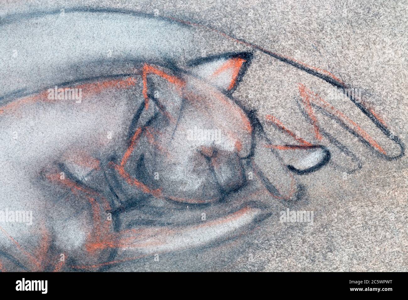Frammento di un'immagine di artis Arcadi Antoseac. Gatto disegnato sulla carta coperta della salsa. Foto Stock