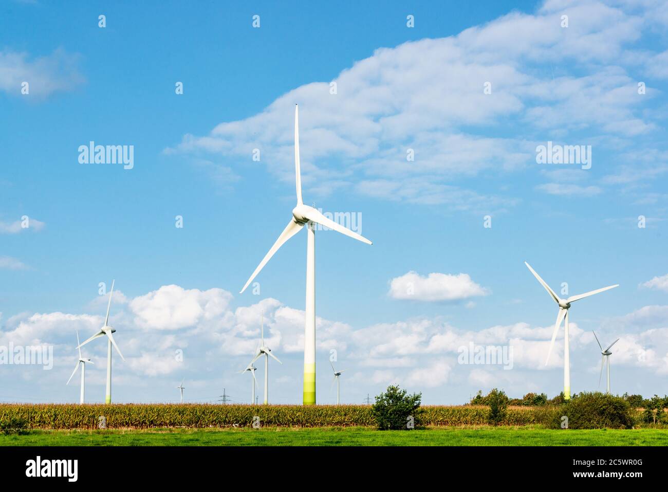 Windkraftanlagen auf einem Feld in Schleswig-Holstein Foto Stock
