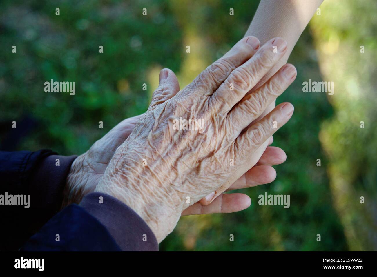 Vecchi e giovani che tengono le mani. Concetto di amore per la famiglia. Esperienza sanitaria. Foto Stock