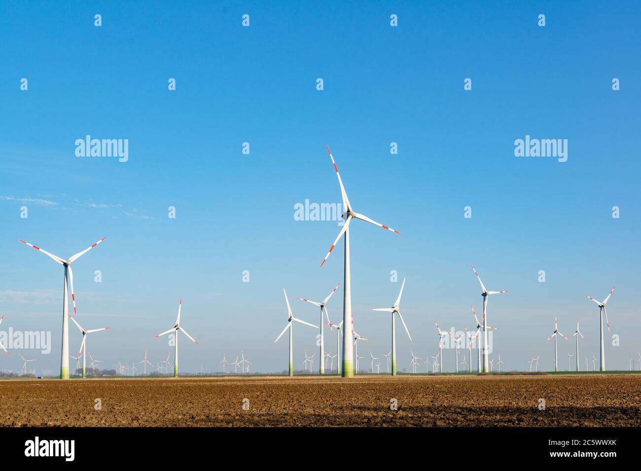 Riesiger Windparkauf einer Ackerfläche an der Nordseeküste in Schleswig-Holstein Foto Stock