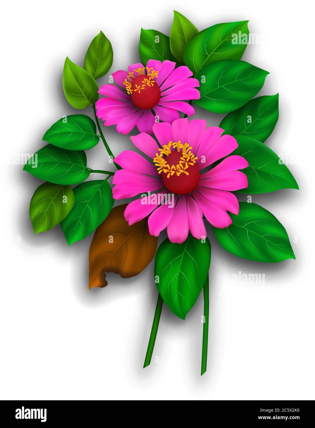 un'illustrazione vettoriale realistica di alcuni fiori di zinnia magenta con foglie circostanti Illustrazione Vettoriale
