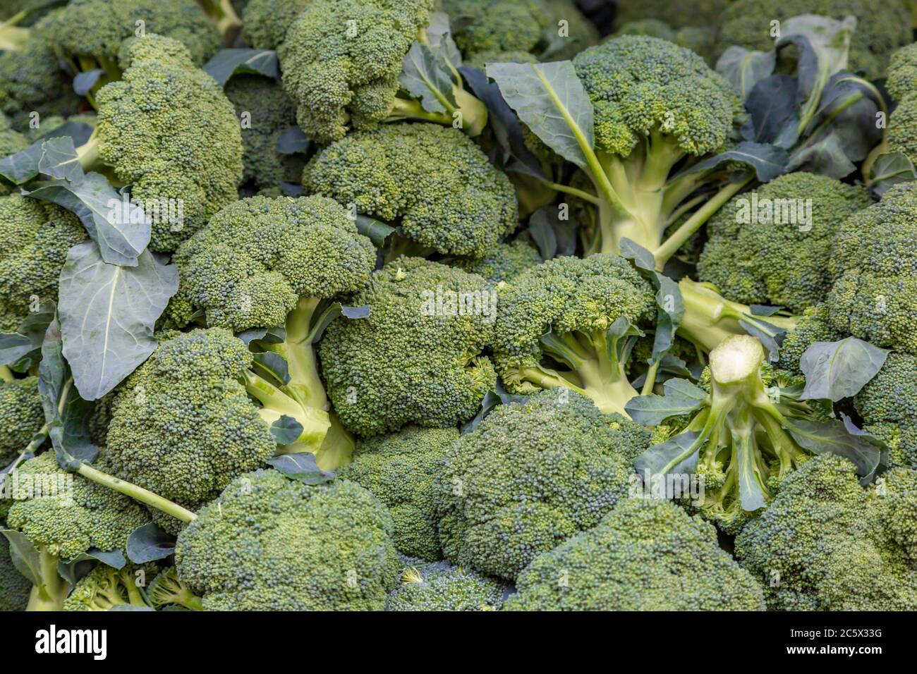 Una pila di teste di broccoli per la vendita ad un mercato agricolo Foto Stock