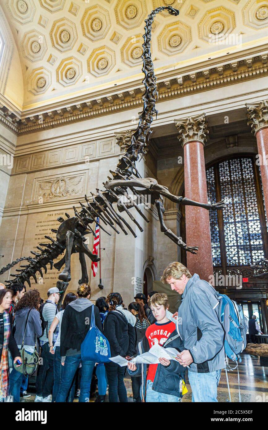 New York City, New York NYC Manhattan, Uptown, Central Park West, Museo americano di storia naturale, mostra mostra la scienza, educazione, fossili, ossa Foto Stock