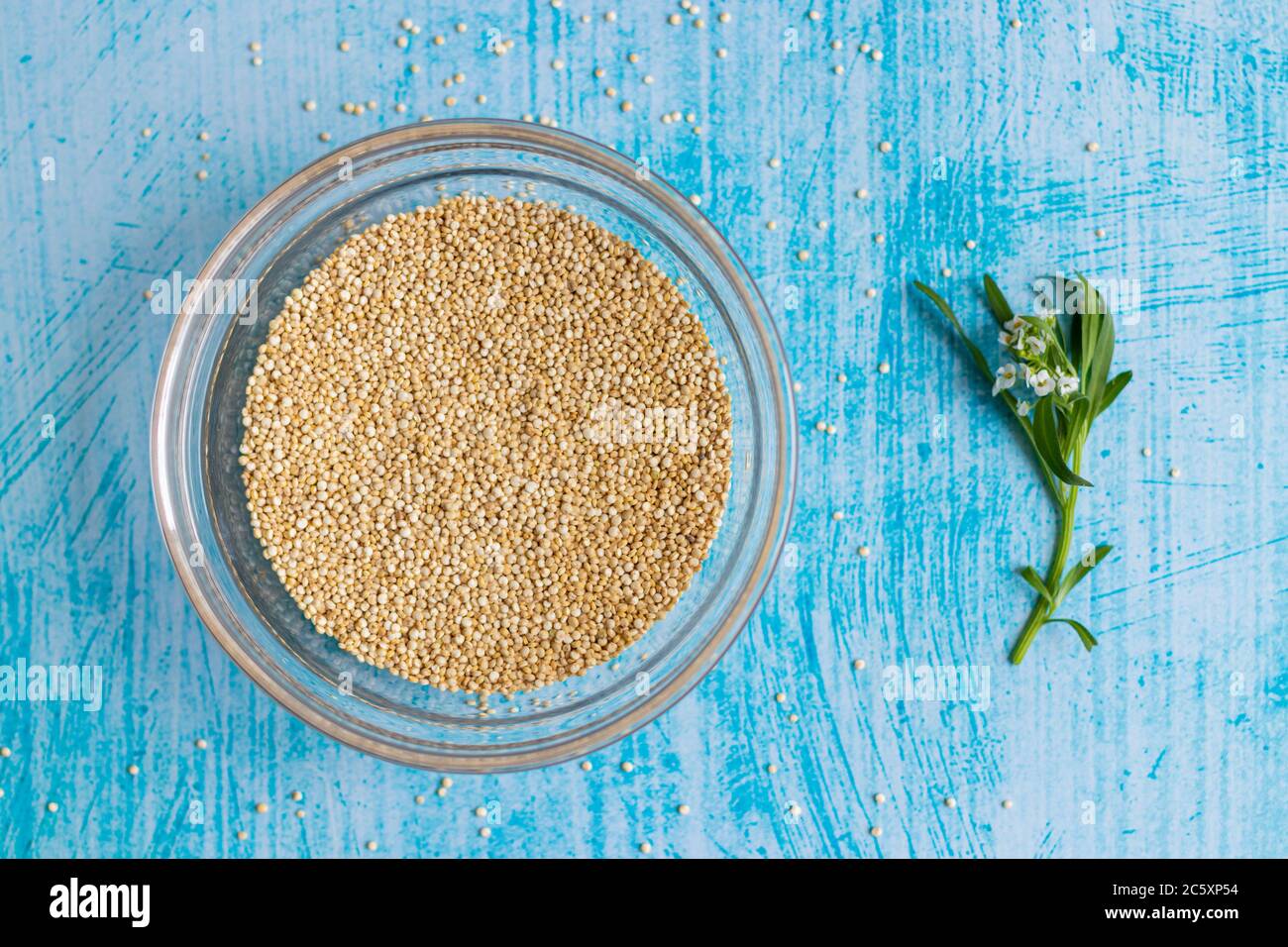 Grani di quinoa grezzi all'interno della ciotola trasparente, su tavola blu Foto Stock