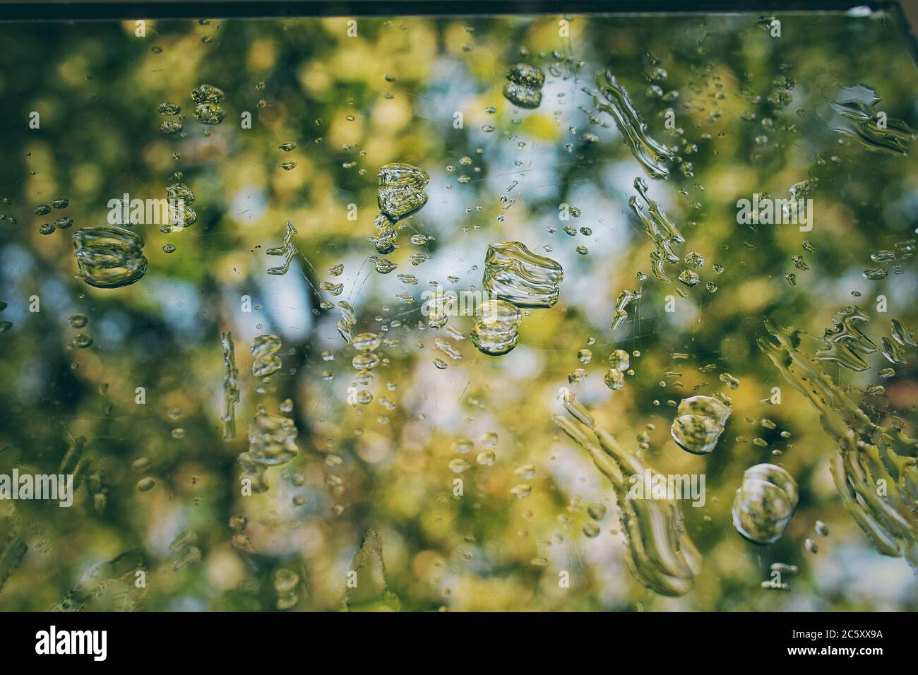 Goccia di acqua su vetro Foto Stock
