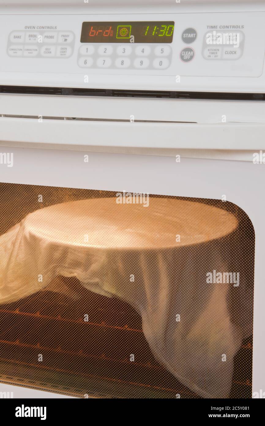 Il pane si alza in una terrina umida coperta di stoffa, in forno con  speciale ciclo di lievitazione del pane Foto stock - Alamy