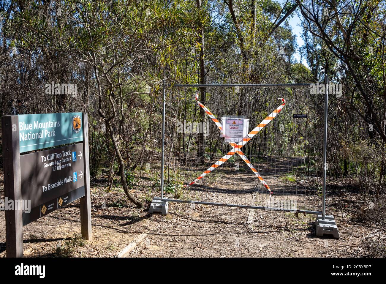Dopo 2020 incendi boschivi in Blue Mountains nsw alcuni sentieri escursionistici rimangono chiusi a causa del rischio di caduta di alberi, Australia Foto Stock