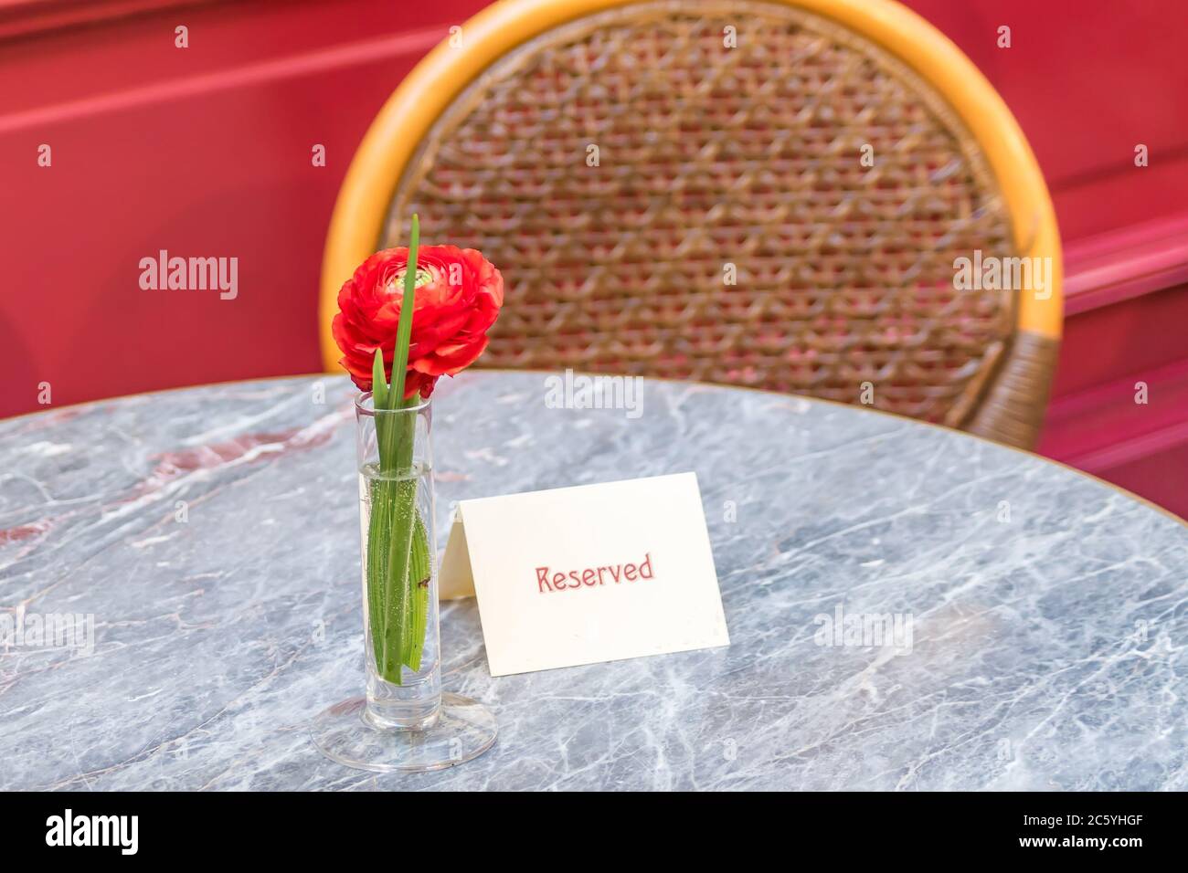Ranunculus rosso fiore singolo su tavolo con piatto riovalizzato Foto Stock