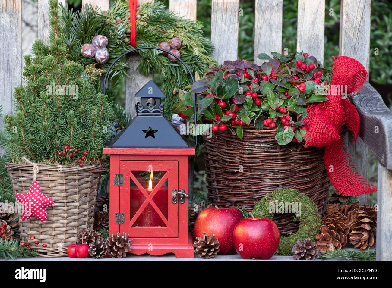 decorazioni natalizie rustiche con lanterna rossa e piante invernali in cesto Foto Stock