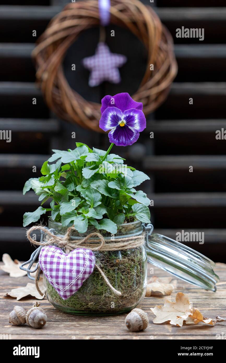 decorazioni rustiche con fiori di viola in vetro Foto Stock