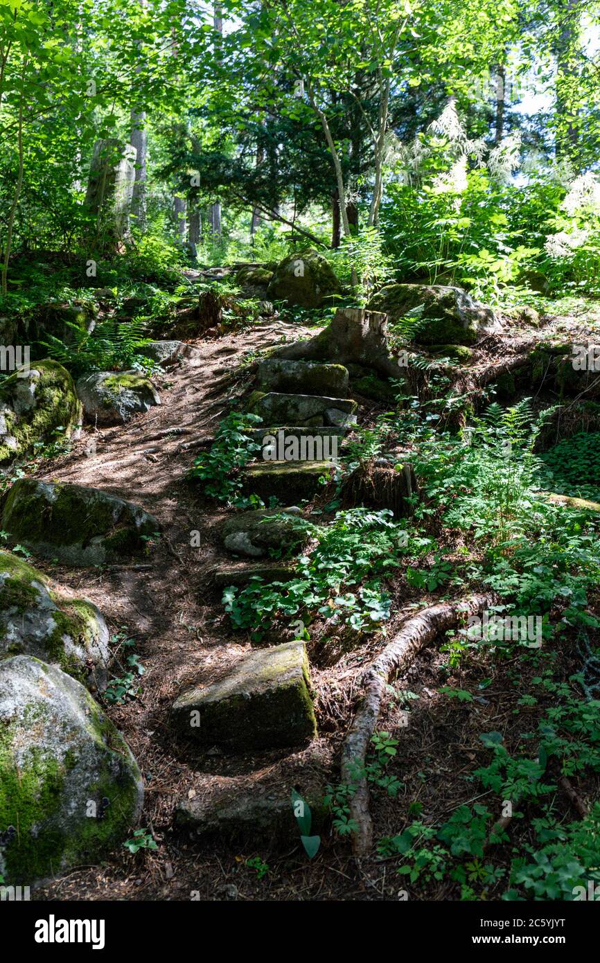 Vecchi scalini in pietra nei giardini di Hörtsänä arboreto in Orivesi, Finlad Foto Stock