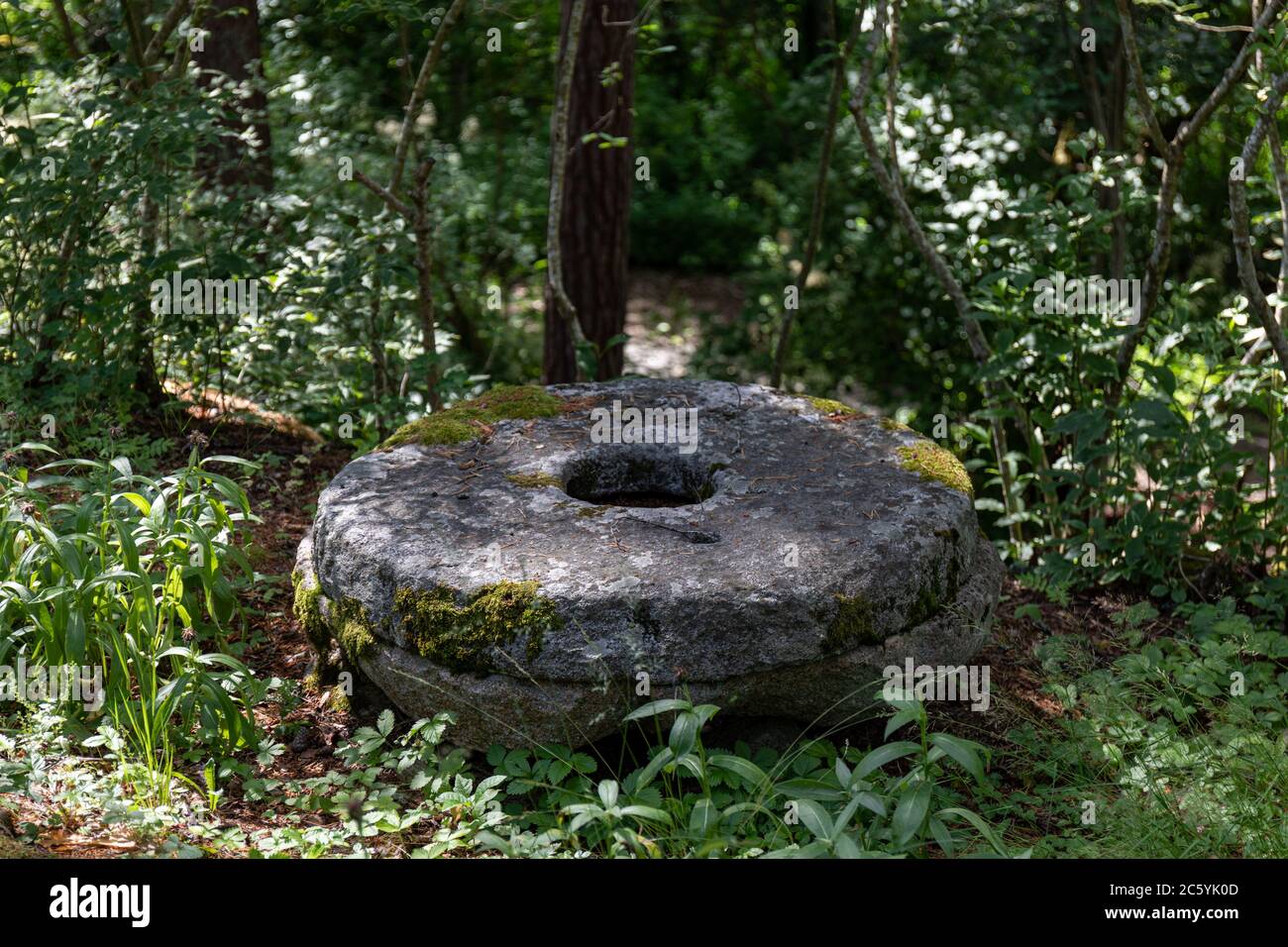 Antiche macine a Hörtsänä Arboretum, in Orivesi, Finlandia Foto Stock