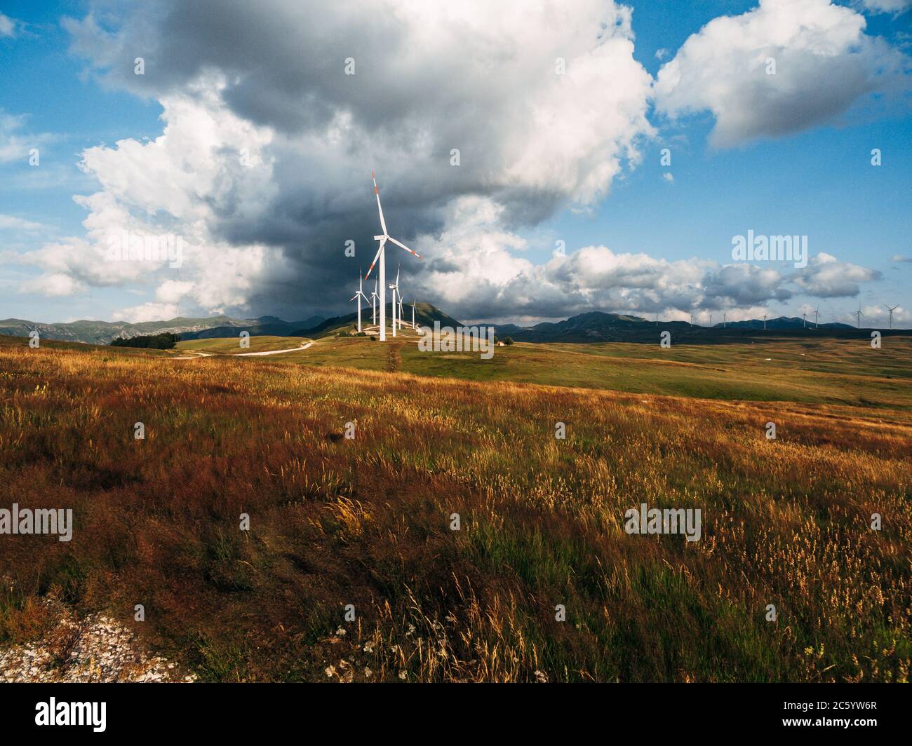 Turbine eoliche in un campo giallo con cielo blu e nuvole bianche. Foto Stock