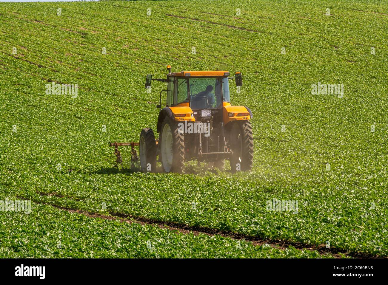 Campo di aratura trattore , Puy de Dome, Auvergne-Rhone-Alpes, Francia Foto Stock