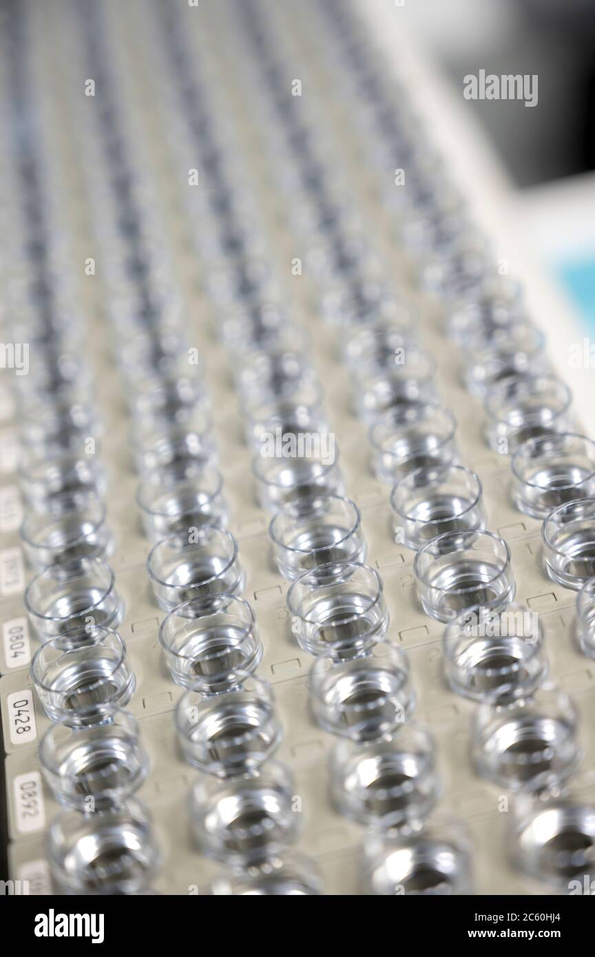 File di flaconi per campioni in laboratorio. Foto Stock