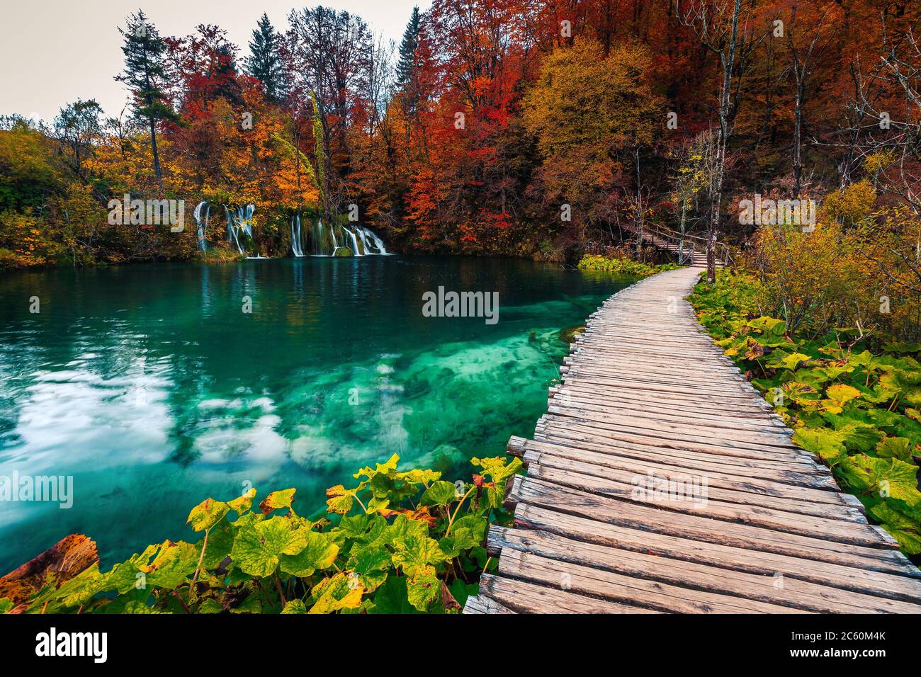 Splendido scenario autunnale con spettacolari cascate nella colorata foresta decidua. Passerella in legno sul lago turchese nella Plitvice Natio Foto Stock