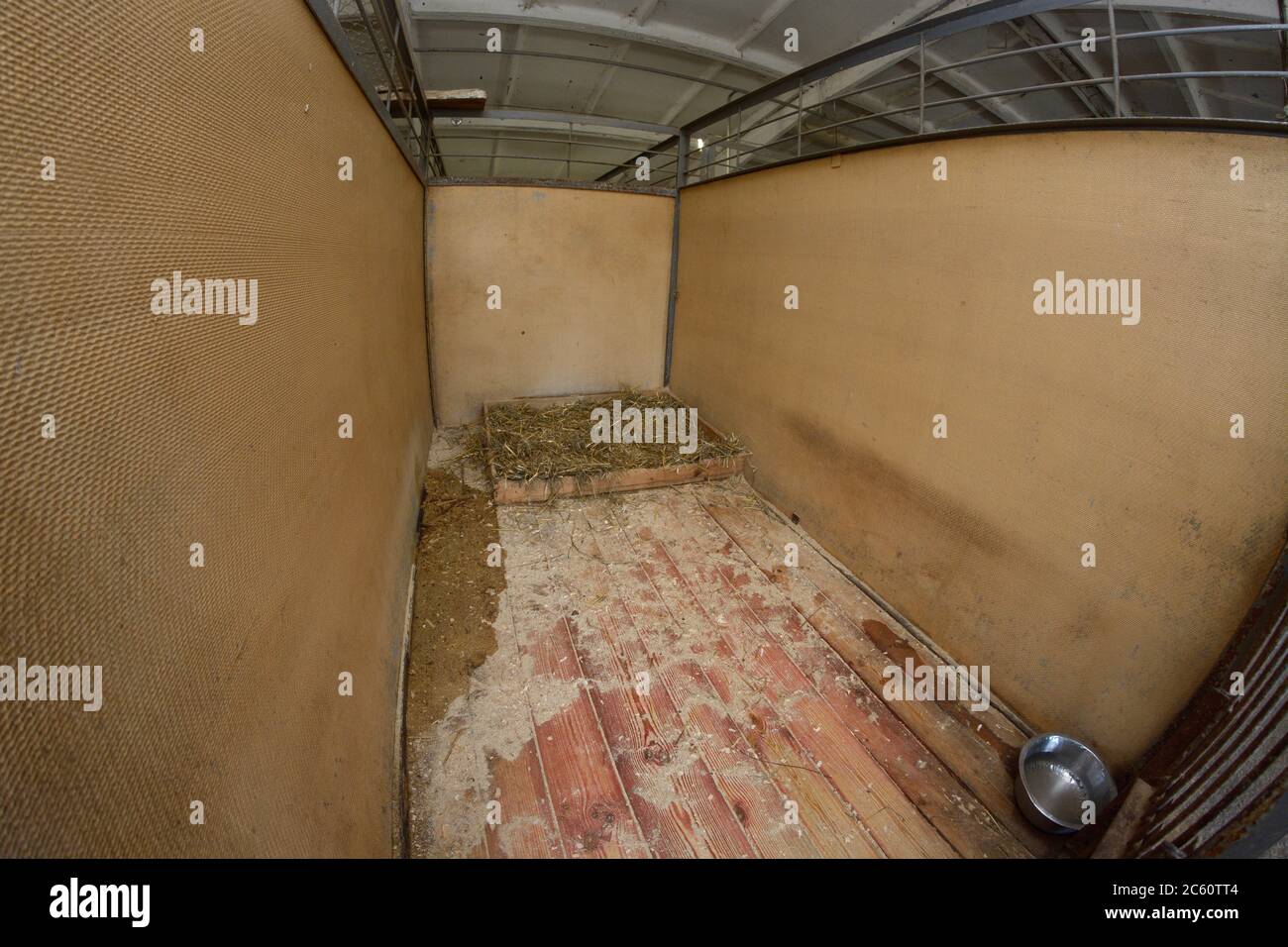 Al rifugio animale. Gabbia interna vuota per cani vaganti: Barre, lettiera coperta di paglia, ciotola in metallo Foto Stock