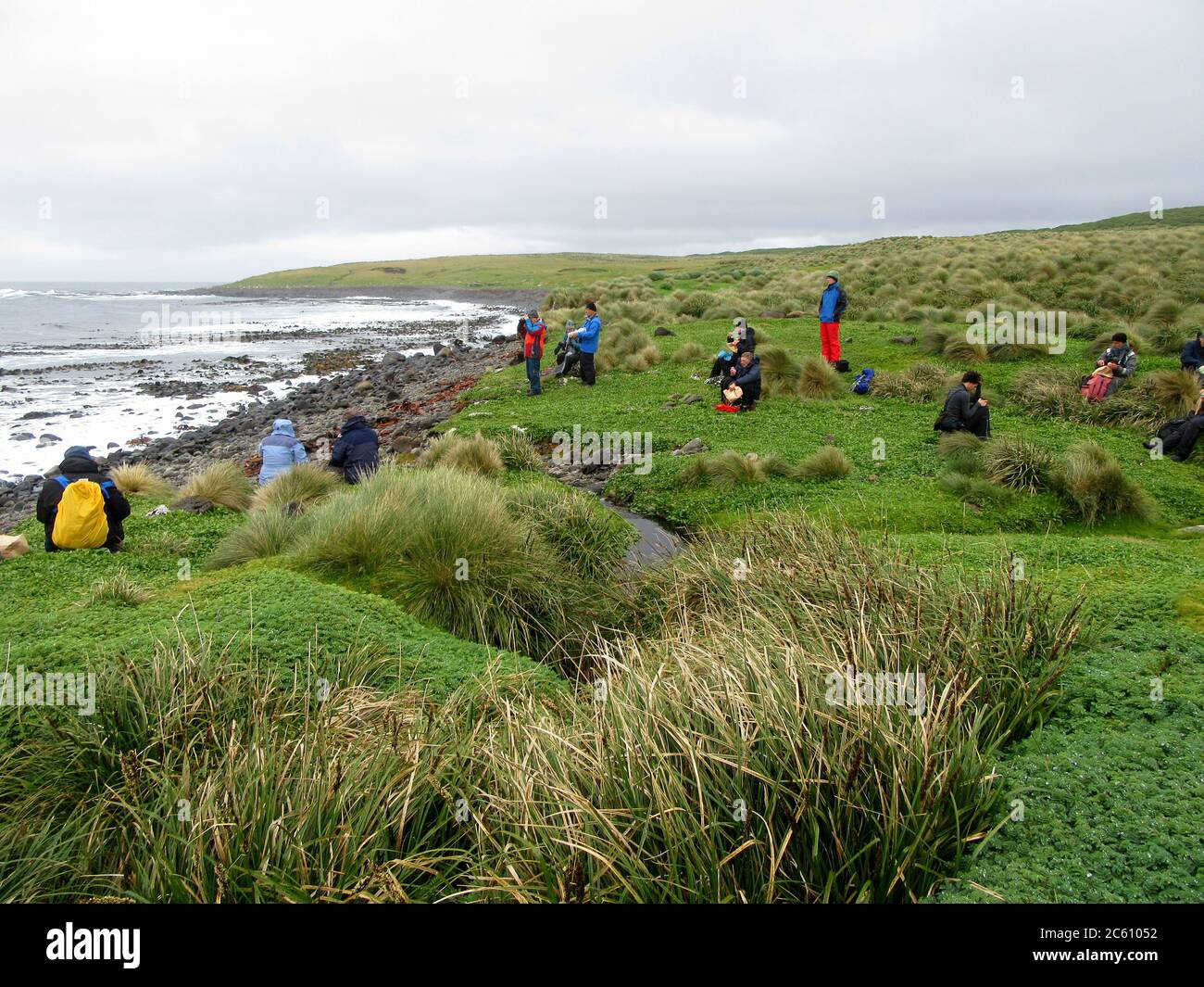 Pranzo al sacco sul campo da ecotourists spedizione sull'isola di Enderby, parte delle isole di Auckland, Nuova Zelanda. Foto Stock