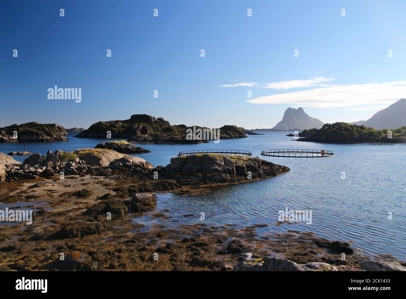 Norvegia aziende di allevamento ittico nelle isole Lofoten. Allevamento di salmoni in Norvegia artica. Foto Stock