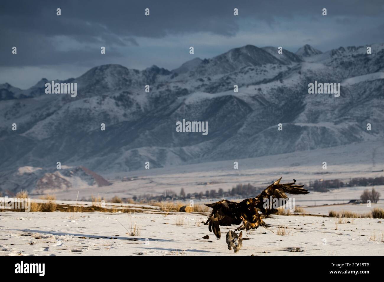 Scene del campo di Jiachy Yurt sulla riva sud di Issyk Kol in Kirghizistan. Foto Stock