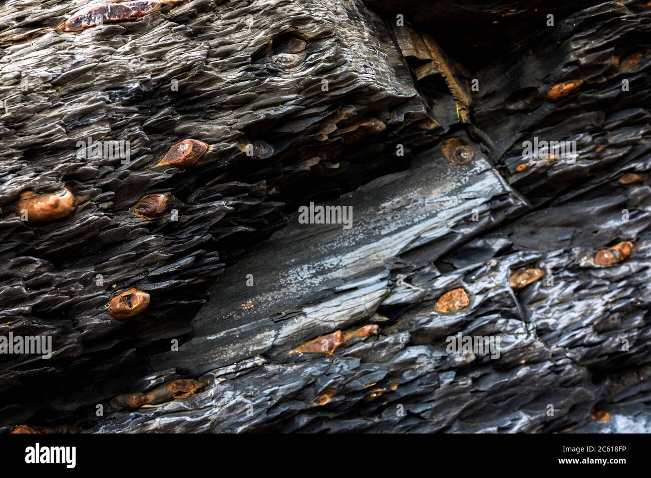 Geologia a Spittal Beach Foto Stock