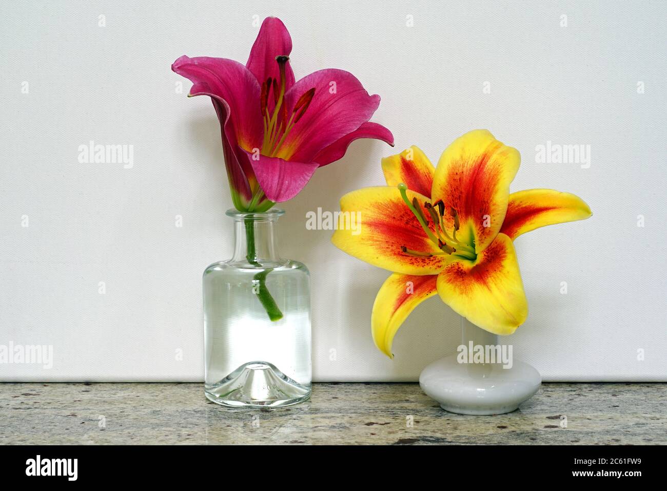 Due vasi di gemma con un unico fiore orientale di giglio Foto Stock