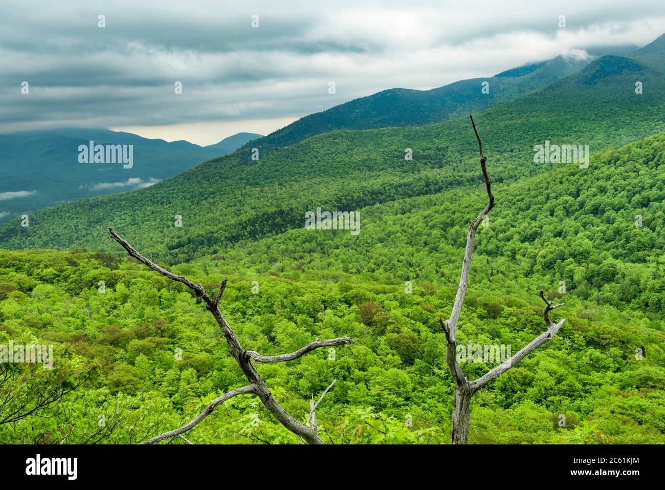 Vette di montagna e valle dalla cima di Owls Head, Adirondack Park, High Peaks Region, Essex County, NY Foto Stock