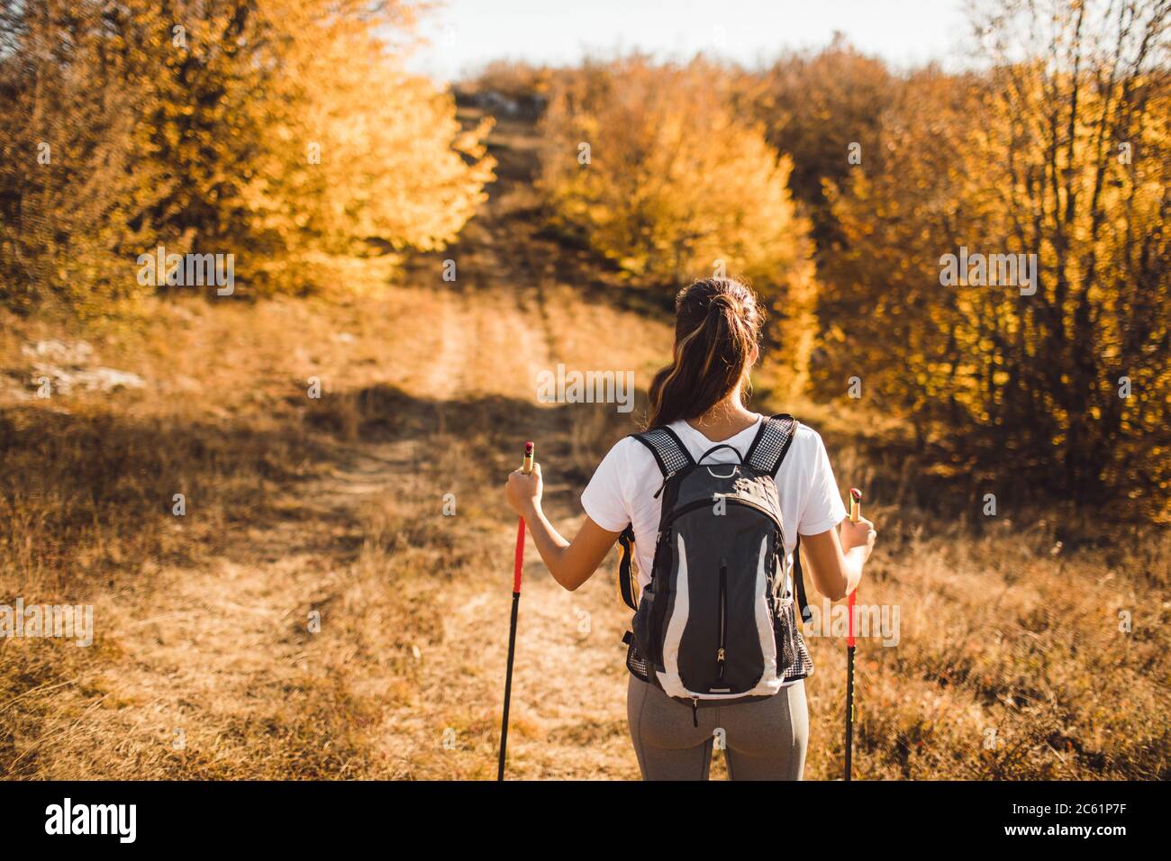 Vista posteriore della donna con zaino e bastoni da trekking. Nordic walking. Ed escursioni. Natura autunno intorno e percorso in avanti. Concetto di viaggio. Foto Stock