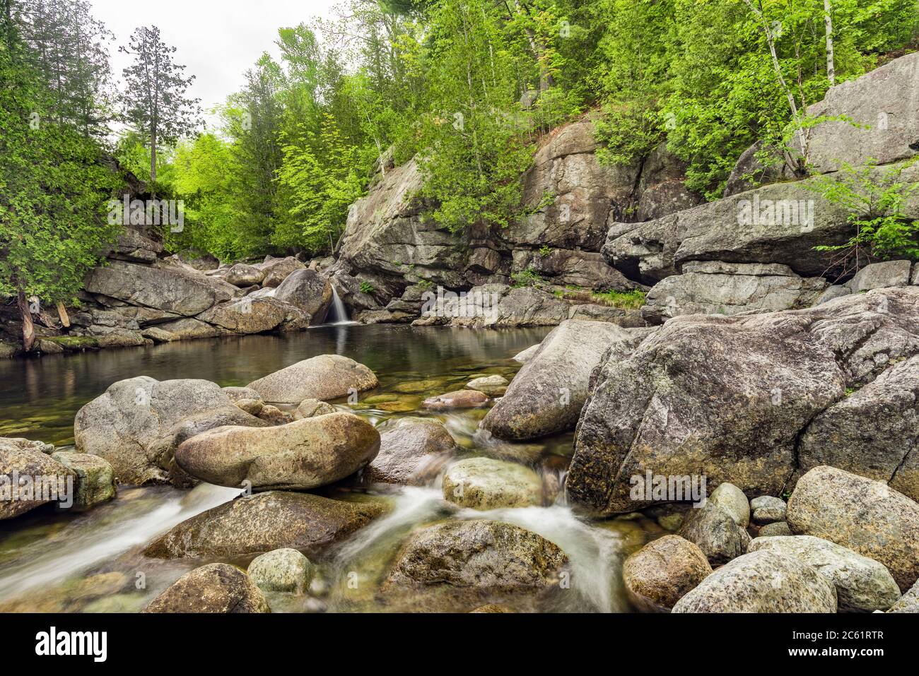 Fiume Boquet. North Fork, in primavera, Adirondack Mountains, Essex County, New York Foto Stock