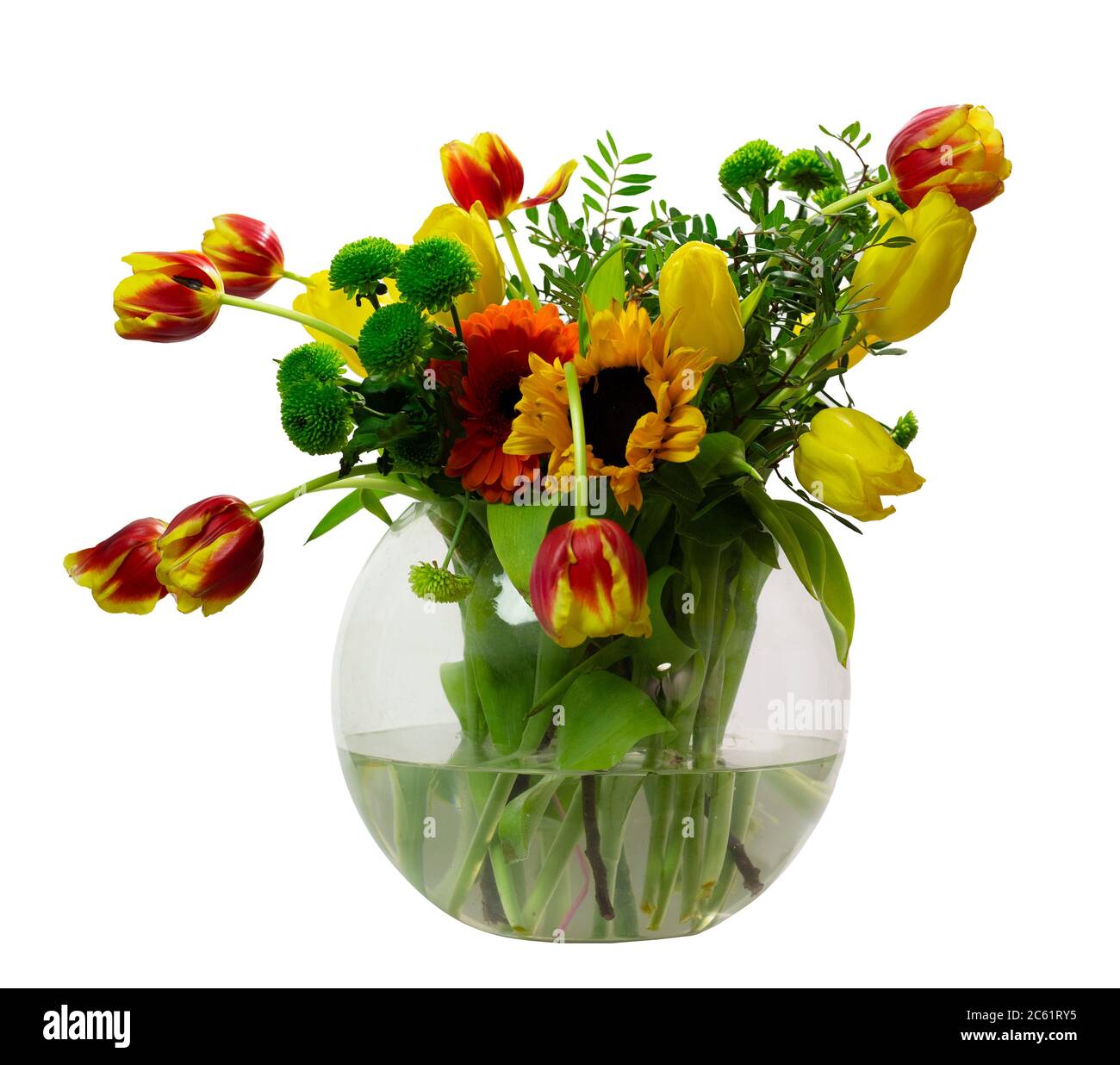 Fiori gialli, rossi e verdi in un acquario rotondo su sfondo bianco Foto Stock