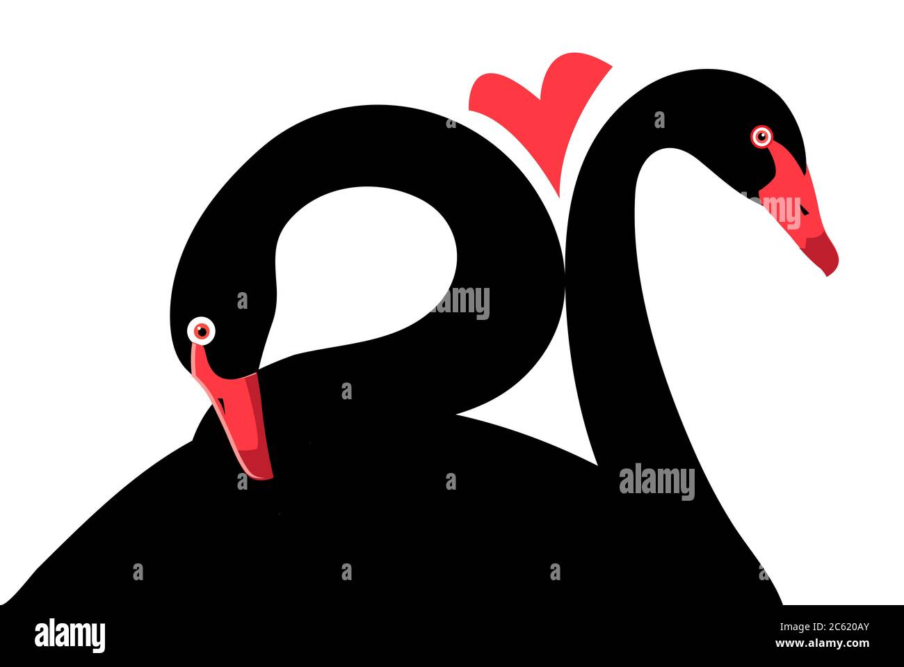 Ritratti vettoriali di cigni neri innamorati su sfondo bianco Illustrazione Vettoriale