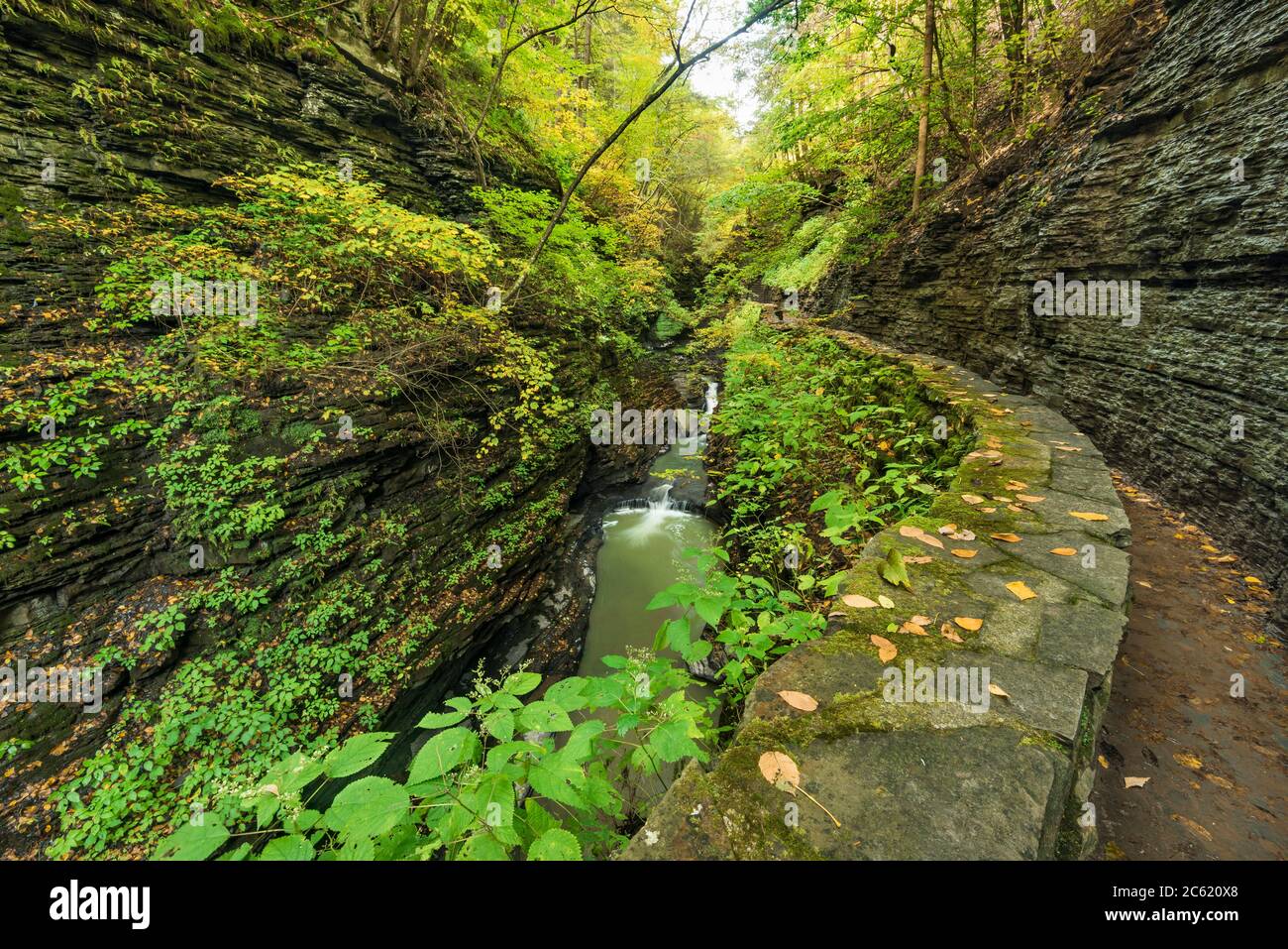 Watkins Glen Gorge Trail e Glen Creek in autunno, Schuyler County, Finger Lakes Region, New York Foto Stock
