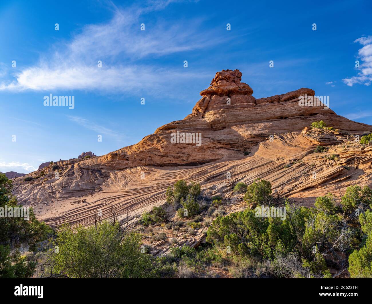 Area delle dune pietrificate dell'Arches National Park, Utah USA Foto Stock